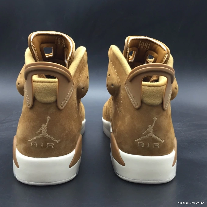 Jordan Air 6 